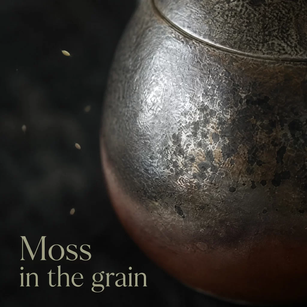 Wood-Fired Jian Zhan Teapot — Qiyi, Fine-Clay, Strong Ash Glaze Color, Moss-Like Texture, 135 ml detail 5