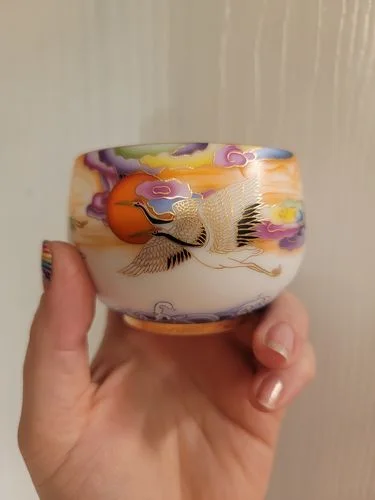 Customer photo review of Colorful Cranes