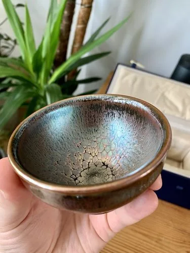 Customer photo review of Succulent