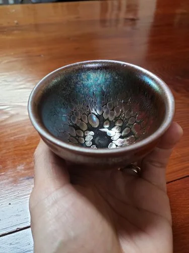 Customer photo review of Succulent