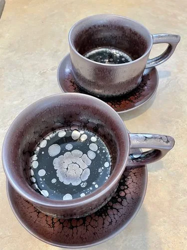 Avaliação com foto de um cliente sobre a xícara de café “Succulent”