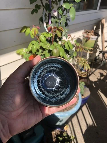 Customer photo review of Jellyfish