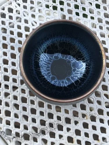 Customer photo review of Jellyfish