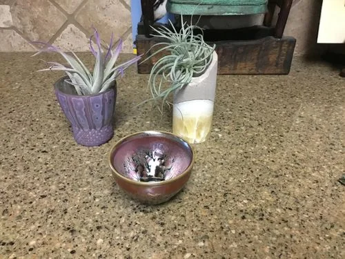Customer photo review of Succulent