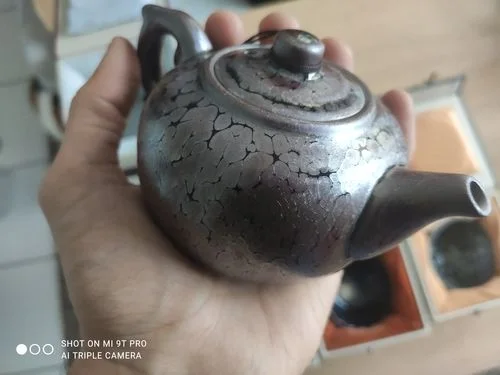 Customer photo review of Succulent Teapot