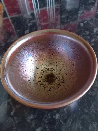 Customer photo review of Succulent
