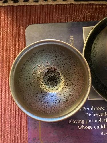 Customer photo review of Succulent