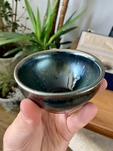 Customer photo review of Meteor