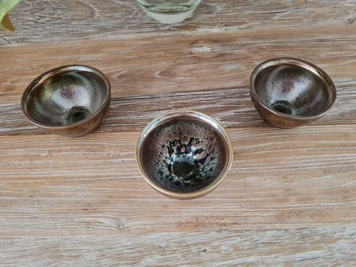 Customer photo review of Succulent