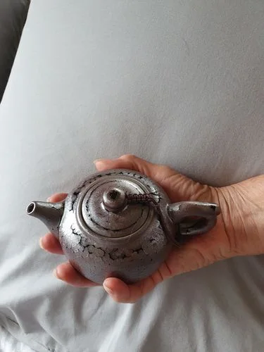 Customer photo review of Succulent Teapot