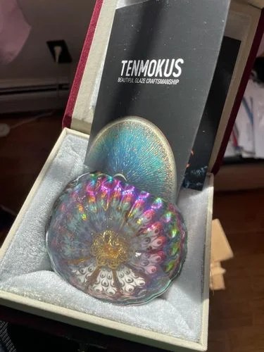 Customer photo review of Vivid Peacock