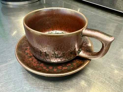 Customer photo review of Succulent Coffee Cup
