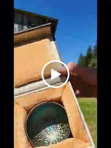 Customer video review of Magic