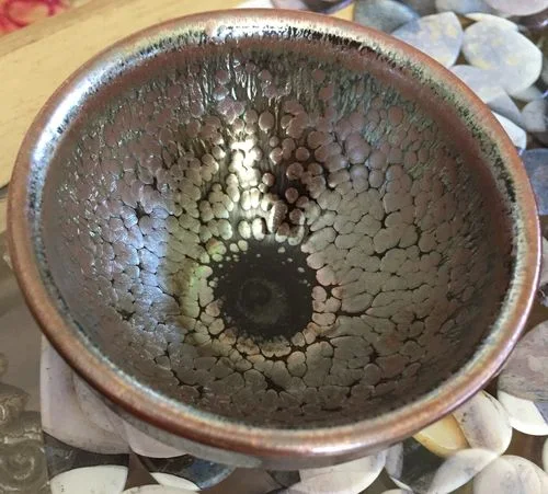 Customer photo review of Succulent
