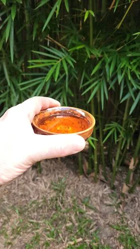 Customer photo review of Phoenix