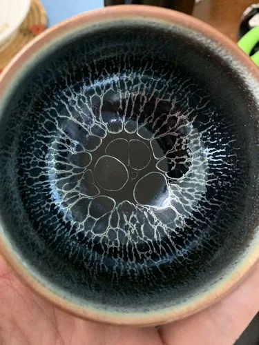 Customer photo review of Jellyfish