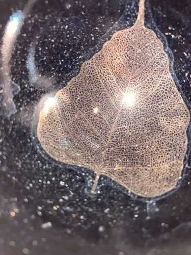 Customer photo review of Golden Leaf