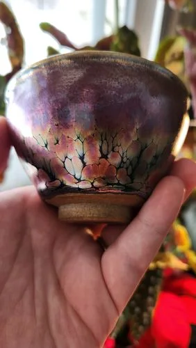Customer photo review of Succulent