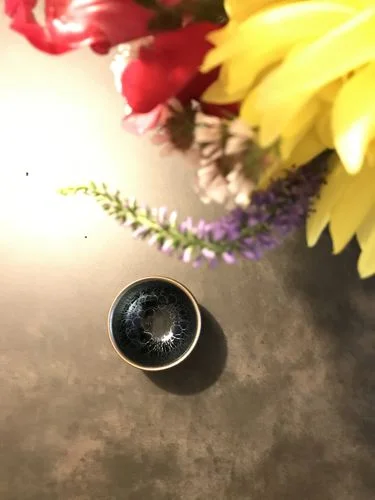 Customer photo review of Jellyfish