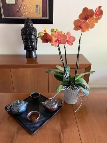 Customer photo review of Bloom Teapot