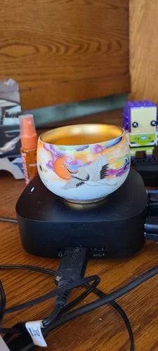 Customer photo review of Colorful Cranes