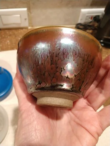 Customer photo review of Succulent