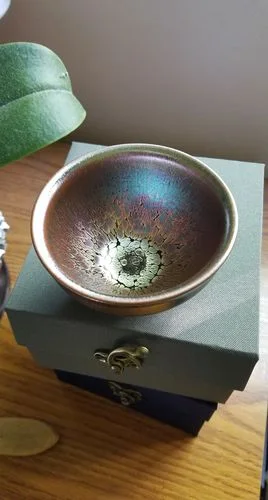 Customer photo review of Succulent
