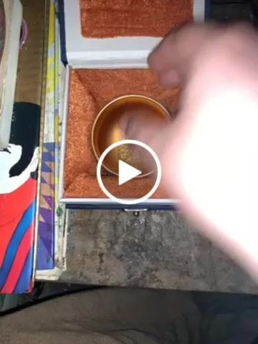 Customer video review of Colorful Cranes