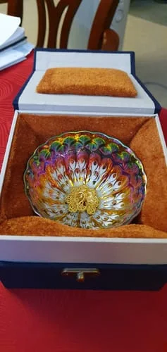 Customer photo review of Vivid Peacock