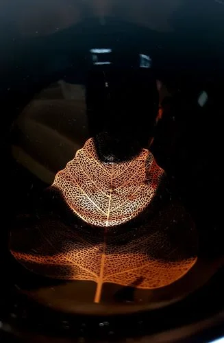 Customer photo review of Golden Leaf