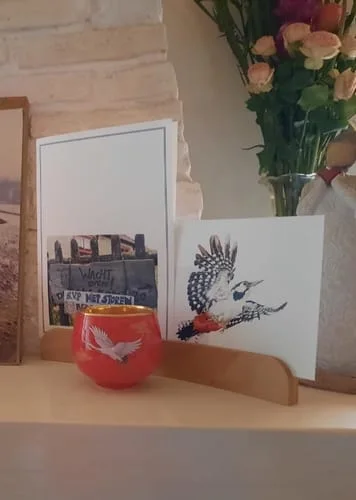 Customer photo review of Crane