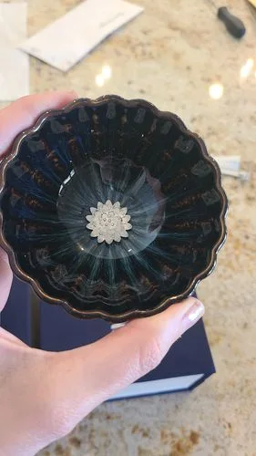 Klantenrecensie met foto’s van Golden Peacock