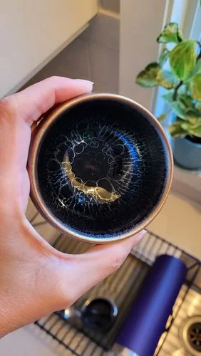 Customer photo review of Jellyfish