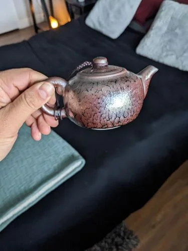 Customer photo review of Succulent Teapot