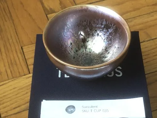 Customer photo review of Succulent