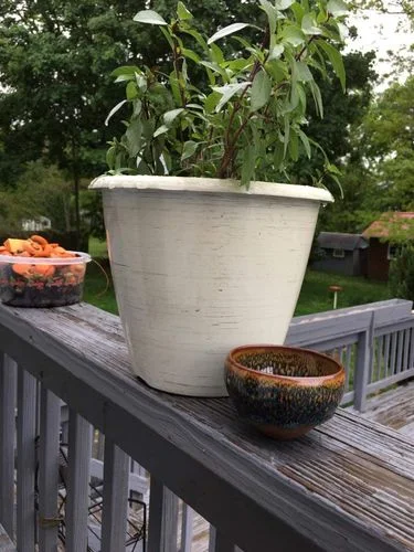 Customer photo review of Geocentric