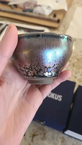 Customer photo review of Succulent