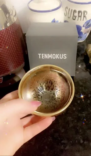 Customer photo review of Succulent