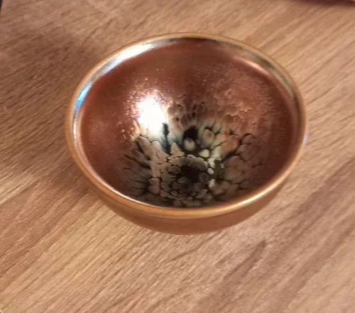 Customer photo review of Succulent