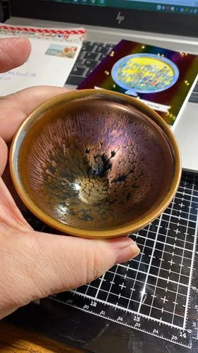 Customer photo review of Succulent