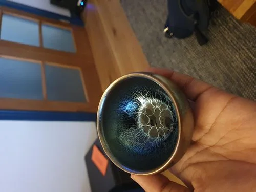 Customer photo review of Jellyfish