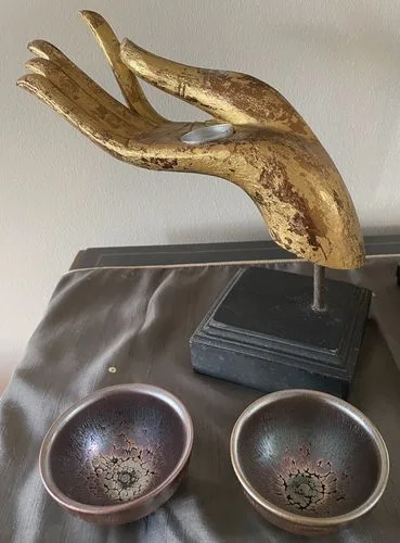 Customer photo review of Succulent