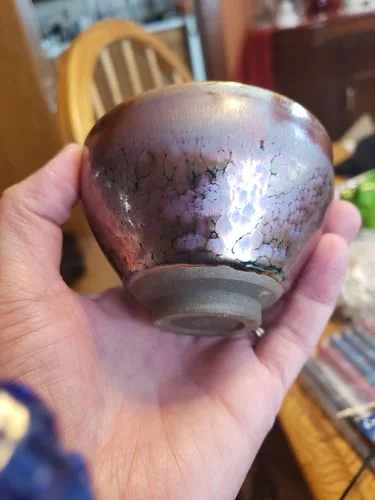 Customer photo review of Succulent