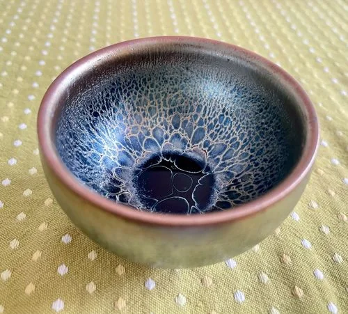 Customer photo review of Jellyfish
