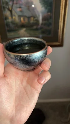 Customer photo review of Jellyfish