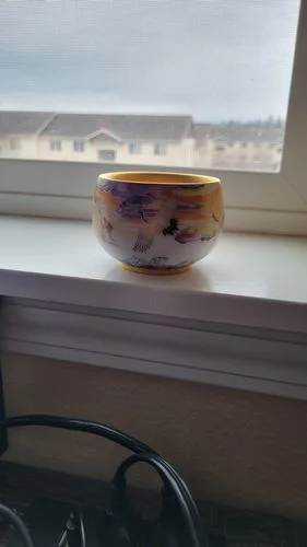 Customer photo review of Colorful Cranes