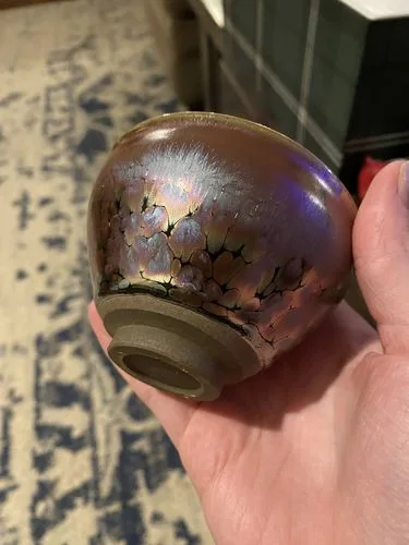 Customer photo review of Succulent