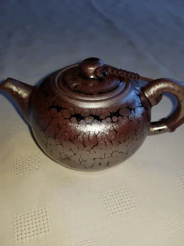 Customer photo review of Succulent Teapot