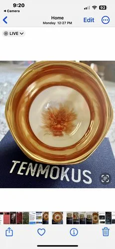 Customer photo review of Harmony