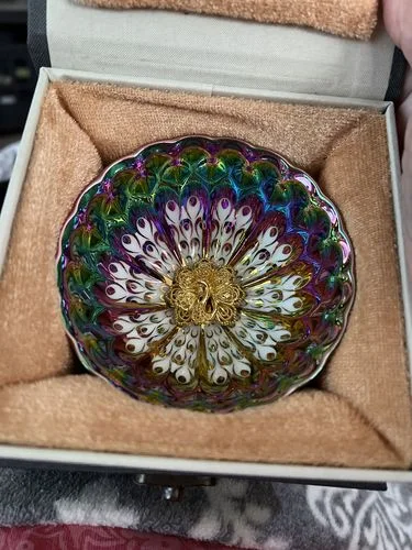Customer photo review of Vivid Peacock